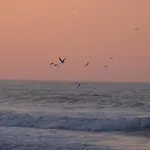 פארק נופש Vvf Blériot-Plage