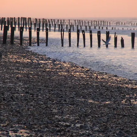 ホリデーパーク Vvf