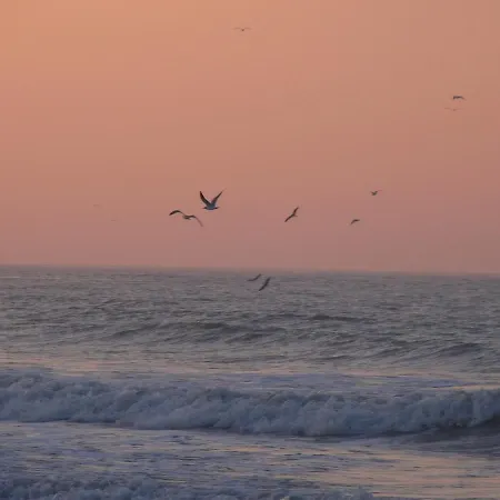 ホリデーパーク Vvf ブレリオ・プラージュ