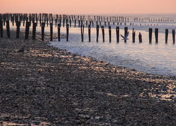 Village de vacances Vvf Villages   Côte D'opale   Blériot-plage