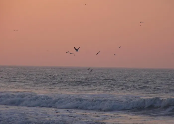 Ferienpark Vvf Blériot-Plage